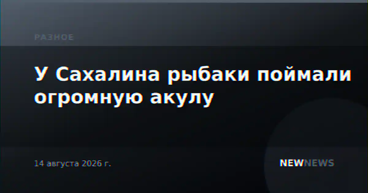 У Сахалина рыбаки поймали огромную акулу