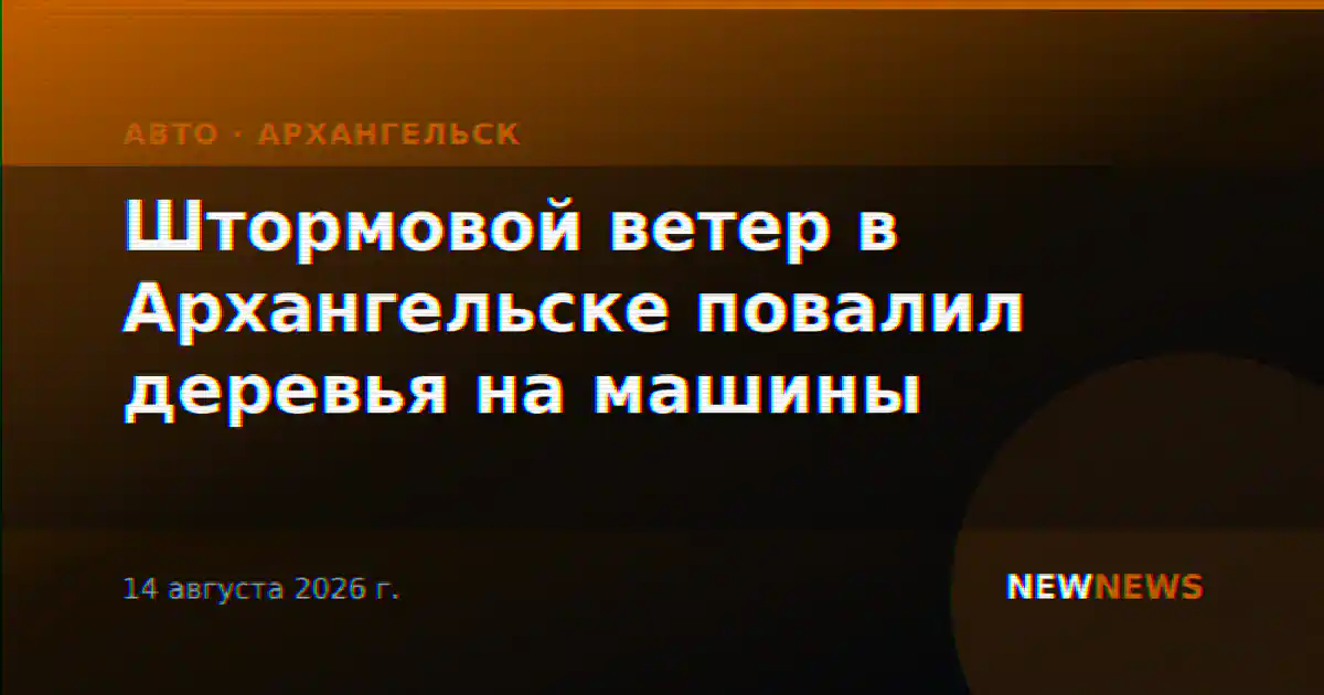 Штормовой ветер в Архангельске повалил деревья на машины