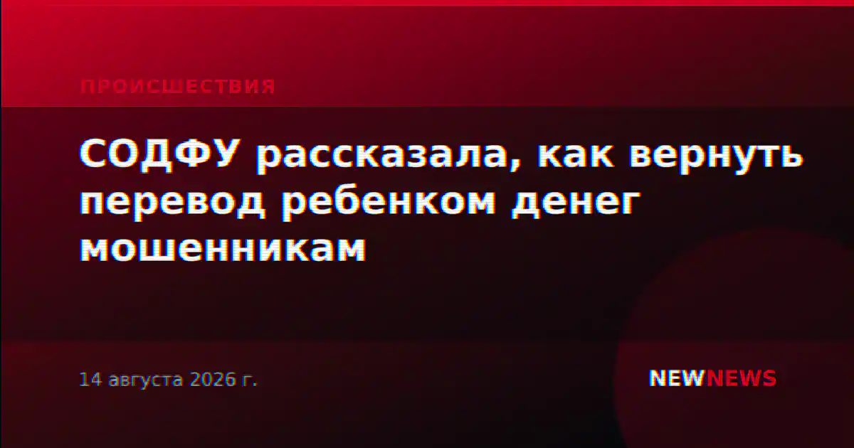 СОДФУ рассказала, как вернуть перевод ребенком денег мошенникам