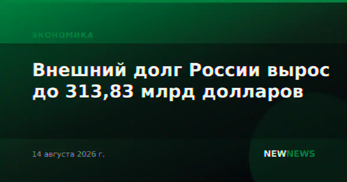 Внешний долг России вырос до 313,83 млрд долларов