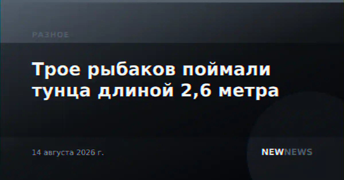 Трое рыбаков поймали тунца длиной 2,6 метра