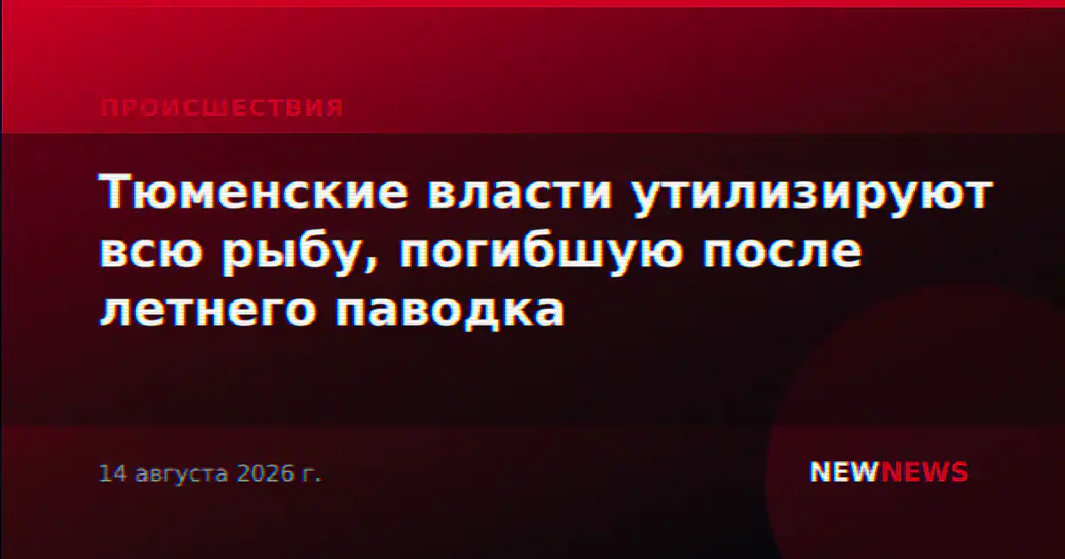 Тюменские власти утилизируют всю рыбу, погибшую после летнего паводка
