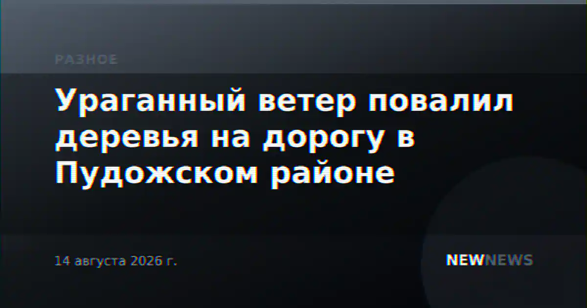 Ураганный ветер повалил деревья на дорогу в Пудожском районе