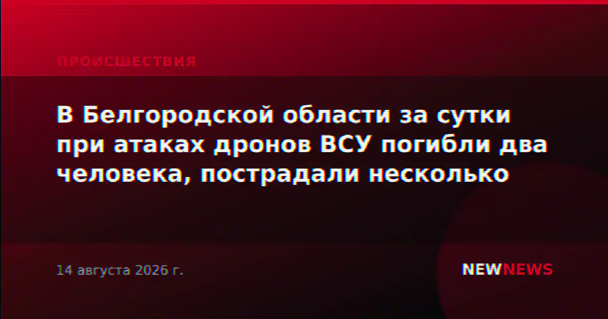 В Белгородской области за сутки при атаках дронов ВСУ погибли два человека, пострадали несколько