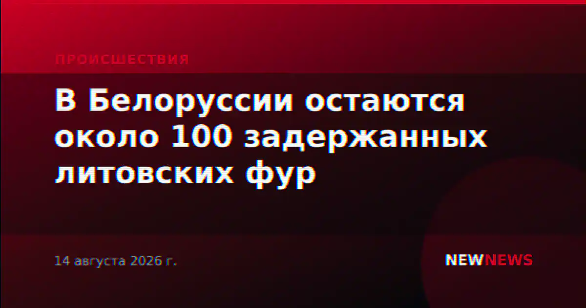 В Белоруссии остаются около 100 задержанных литовских фур