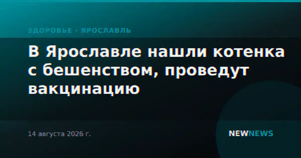 В Ярославле нашли котенка с бешенством, проведут вакцинацию