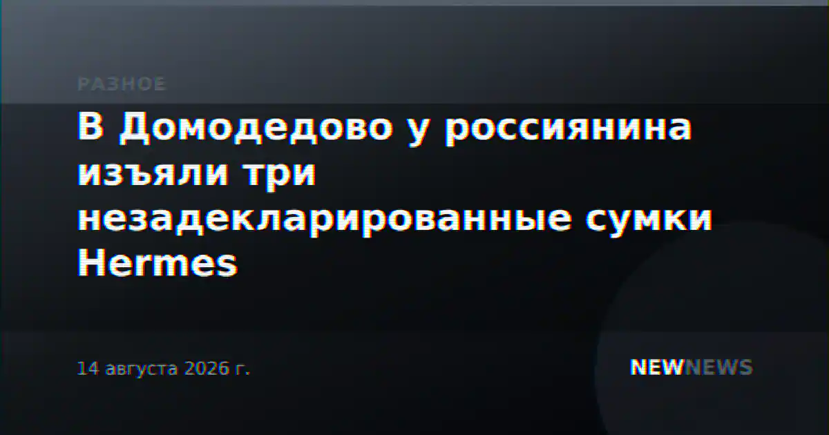 В Домодедово у россиянина изъяли три незадекларированные сумки Hermes