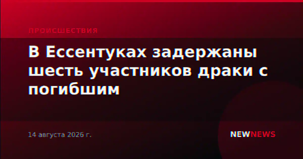 В Ессентуках задержаны шесть участников драки с погибшим