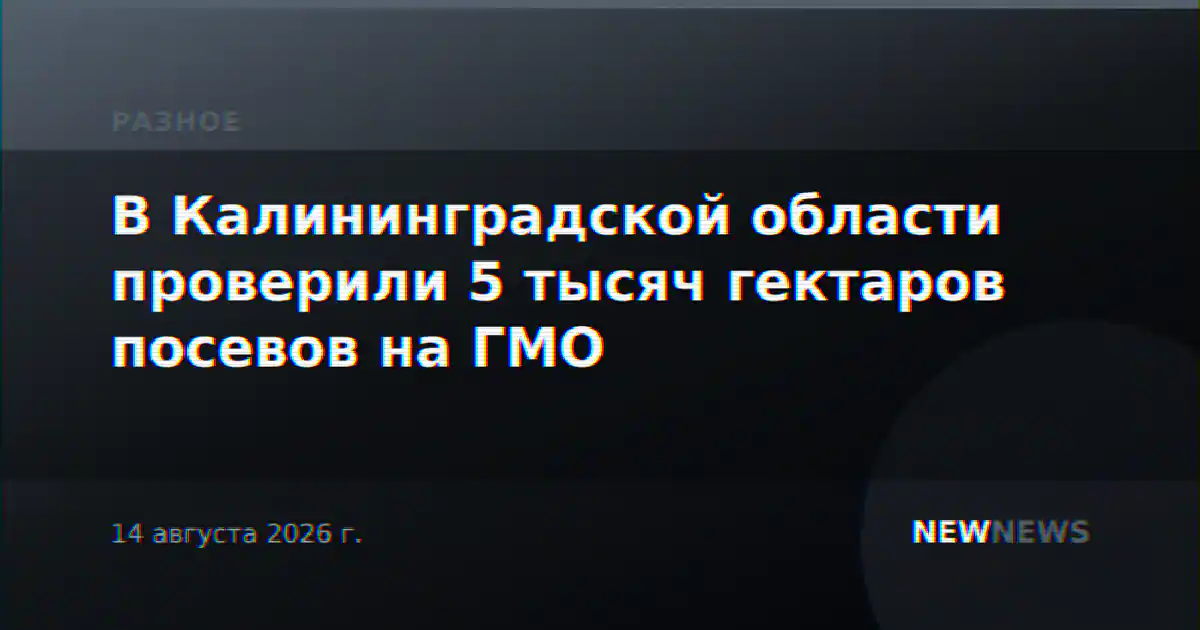 В Калининградской области проверили 5 тысяч гектаров посевов на ГМО