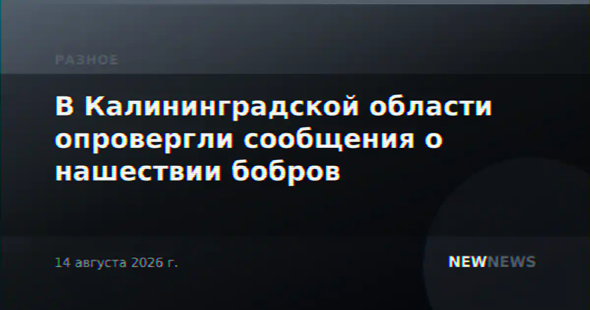 В Калининградской области опровергли сообщения о нашествии бобров