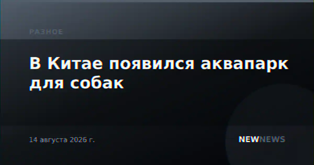 В Китае появился аквапарк для собак