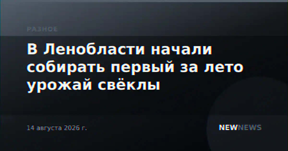 В Ленобласти начали собирать первый за лето урожай свёклы