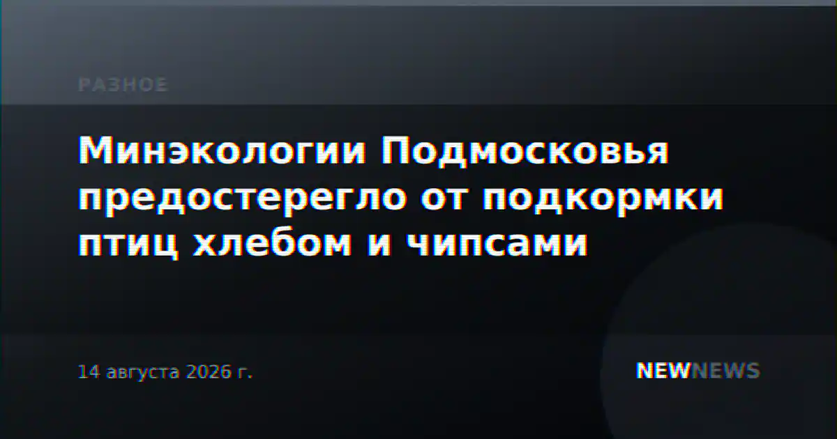 Минэкологии Подмосковья предостерегло от подкормки птиц хлебом и чипсами