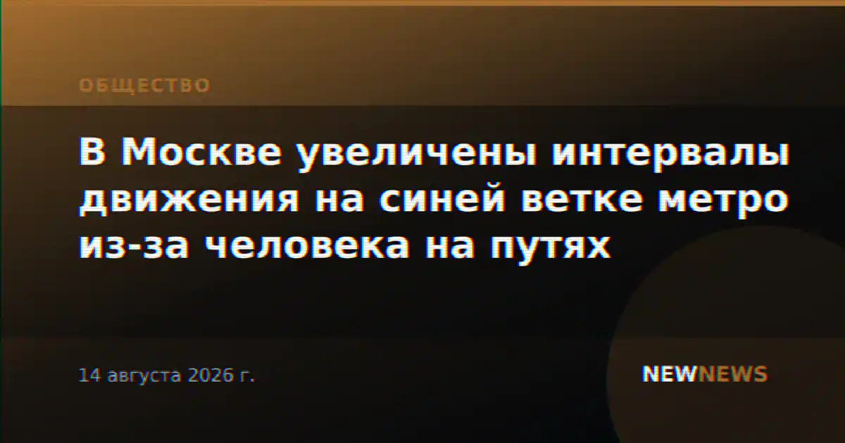 В Москве увеличены интервалы движения на синей ветке метро из-за человека на путях