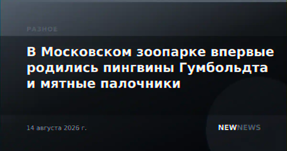 В Московском зоопарке впервые родились пингвины Гумбольдта и мятные палочники