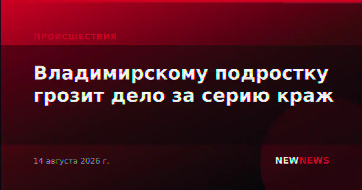 Владимирскому подростку грозит дело за серию краж
