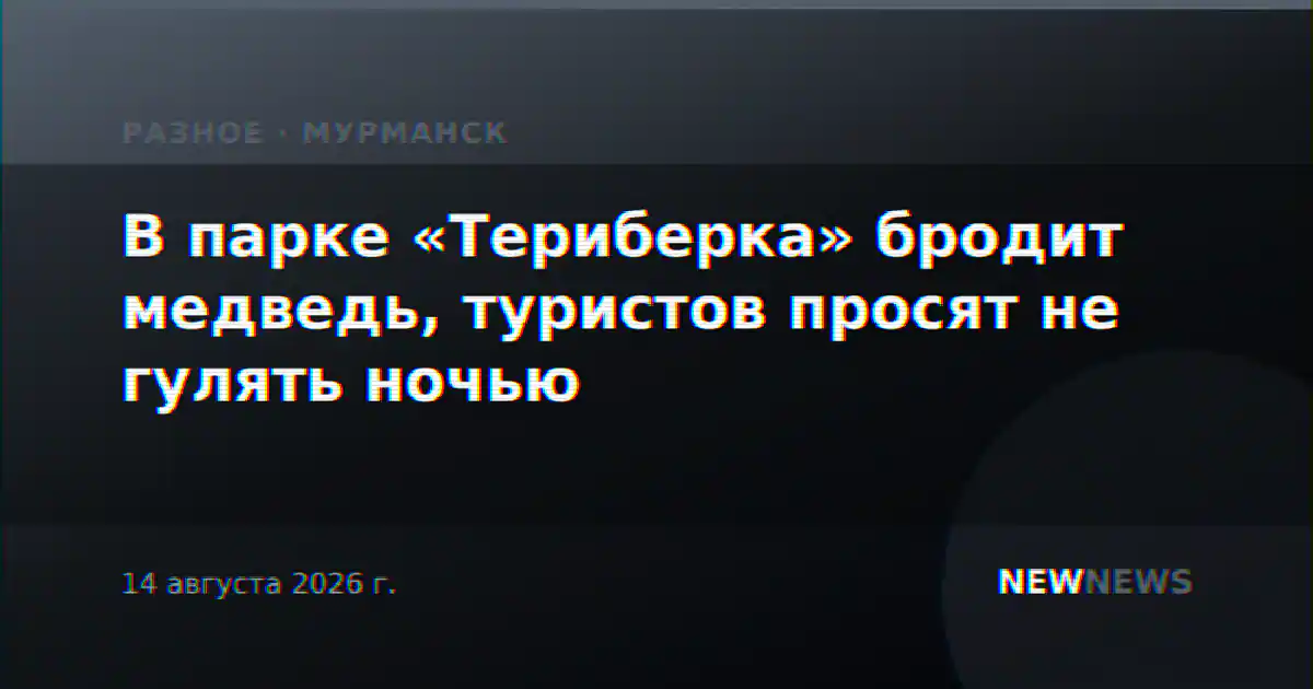 В парке «Териберка» бродит медведь, туристов просят не гулять ночью