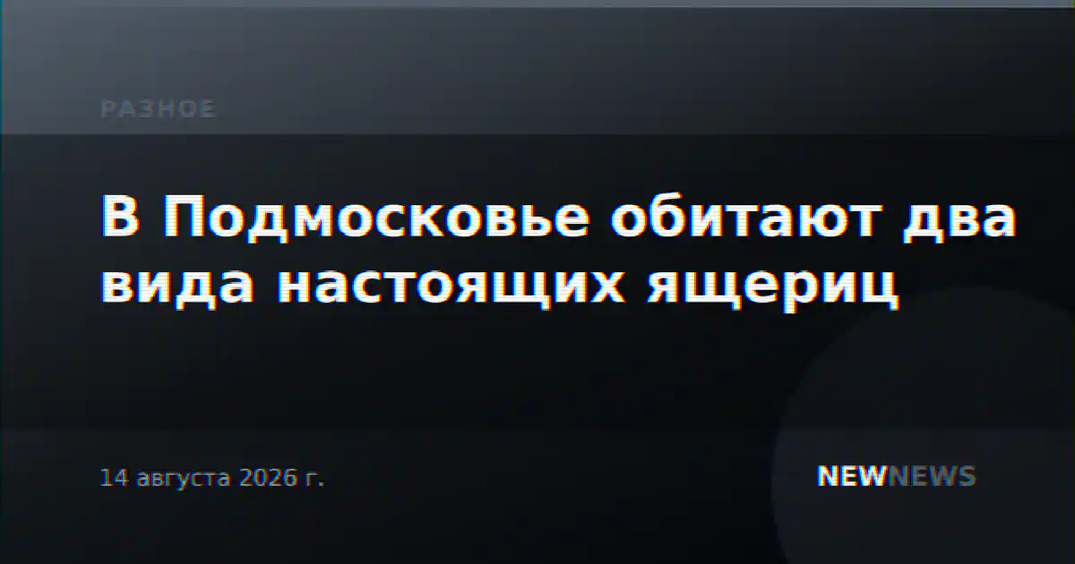 В Подмосковье обитают два вида настоящих ящериц