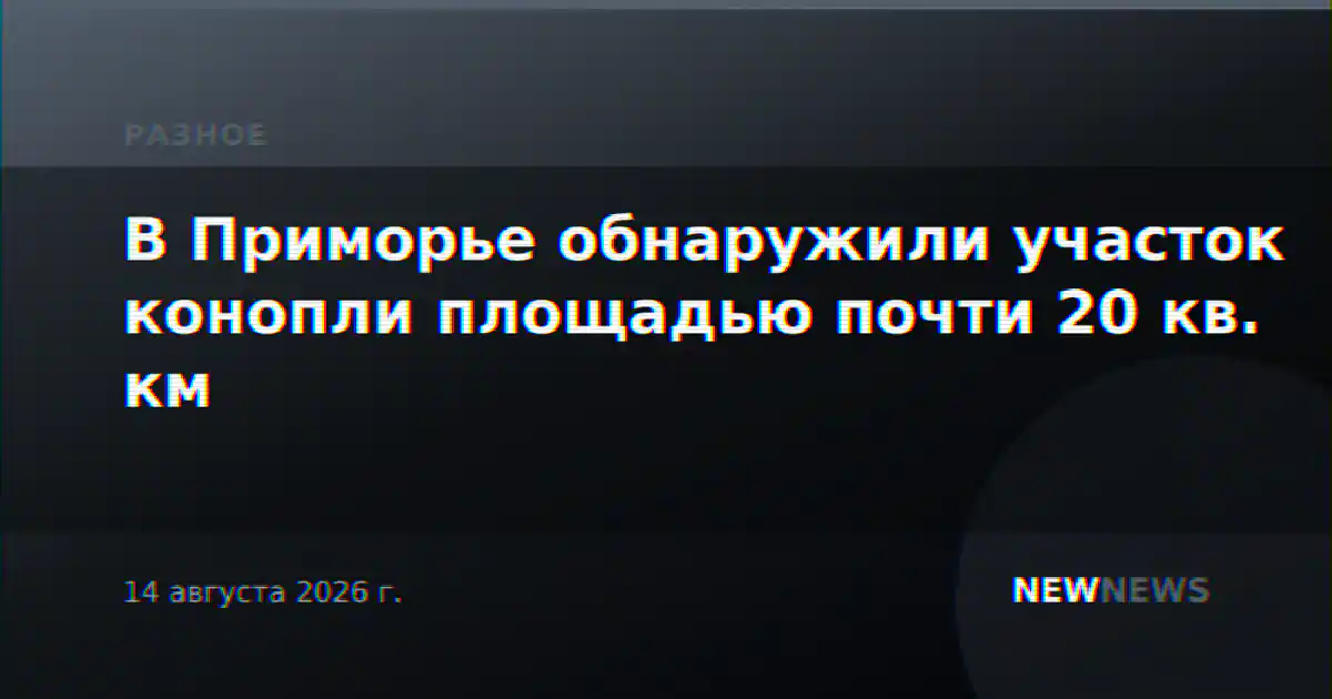 В Приморье обнаружили участок конопли площадью почти 20 кв. км