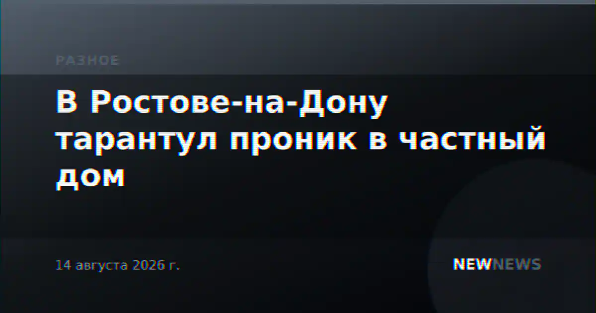 В Ростове-на-Дону тарантул проник в частный дом