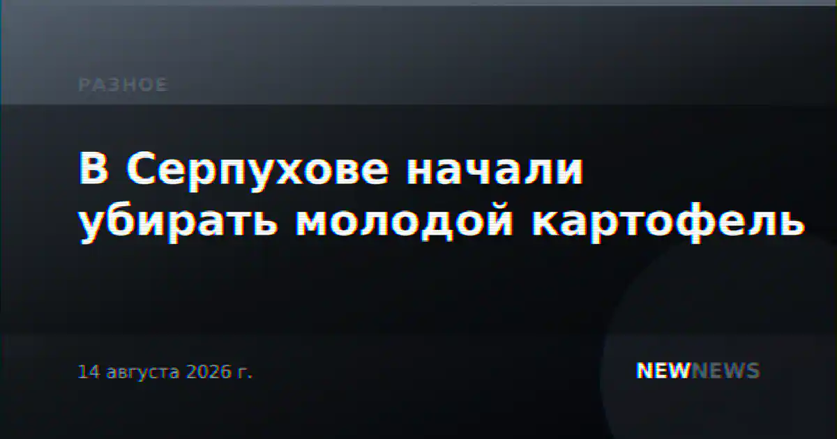 В Серпухове начали убирать молодой картофель