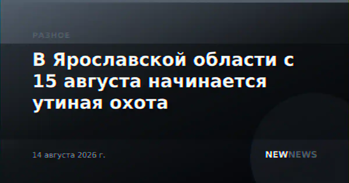 В Ярославской области с 15 августа начинается утиная охота