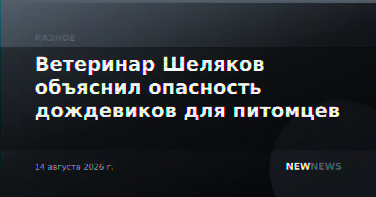 Ветеринар Шеляков объяснил опасность дождевиков для питомцев