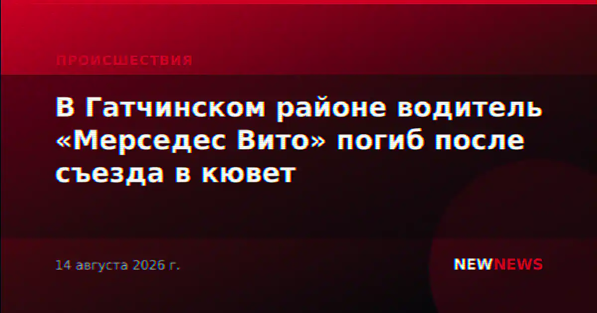 В Гатчинском районе водитель «Мерседес Вито» погиб после съезда в кювет