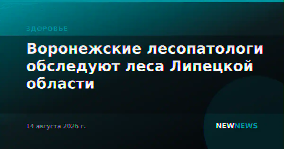 Воронежские лесопатологи обследуют леса Липецкой области