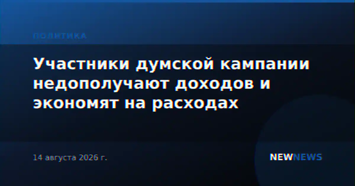 Участники думской кампании недополучают доходов и экономят на расходах