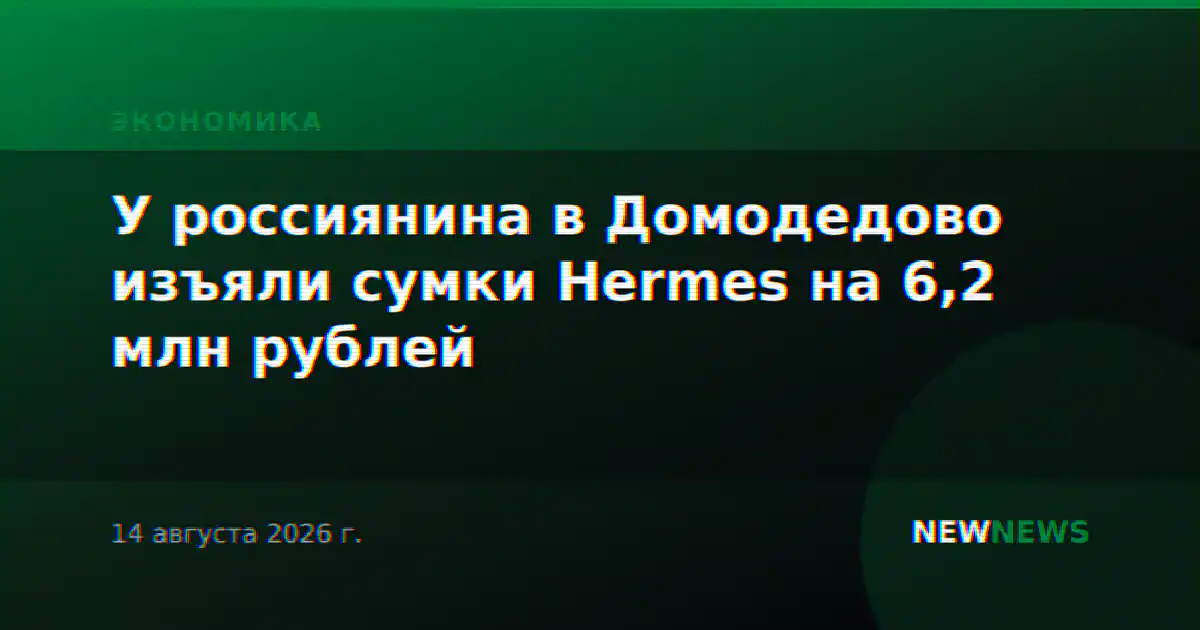 У россиянина в Домодедово изъяли сумки Hermes на 6,2 млн рублей