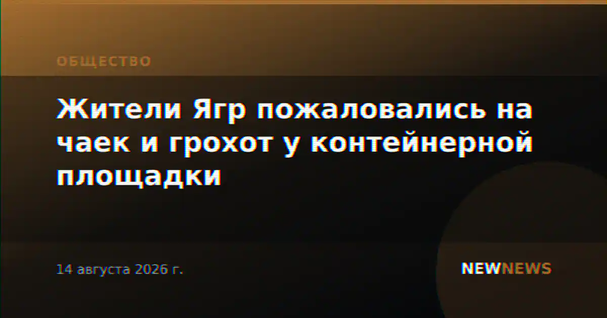 Жители Ягр пожаловались на чаек и грохот у контейнерной площадки