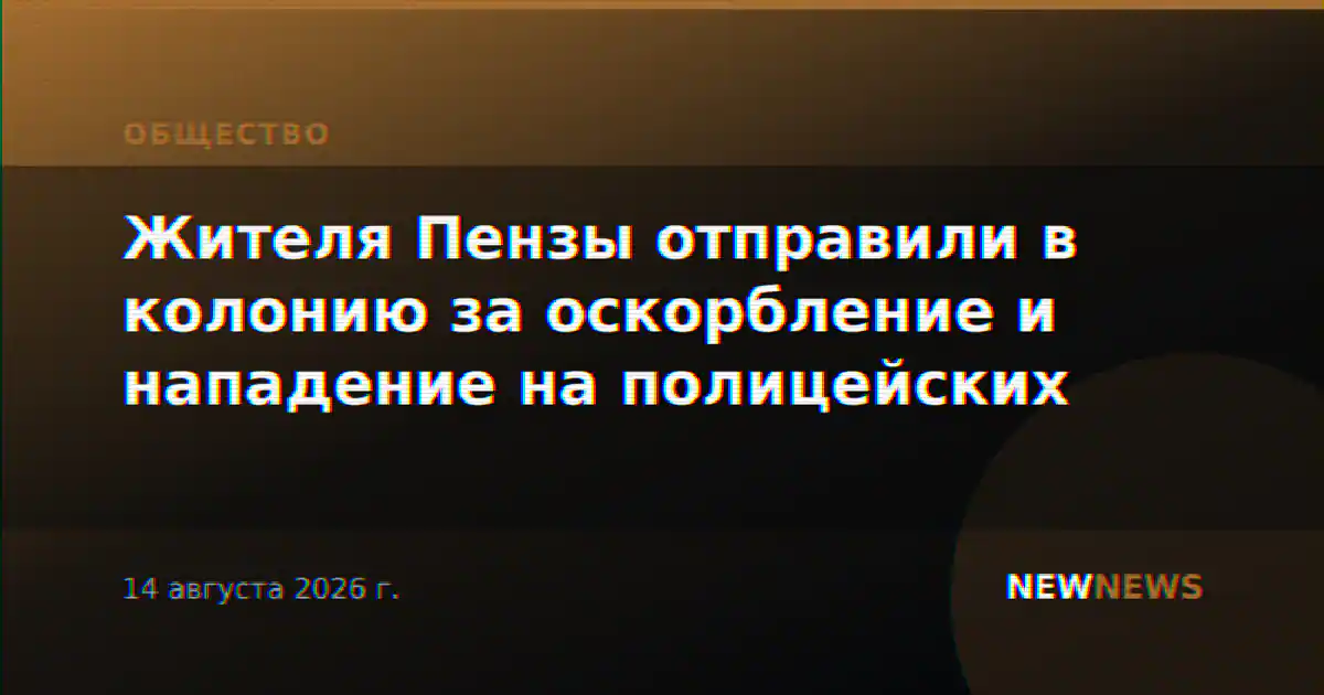 Жителя Пензы отправили в колонию за оскорбление и нападение на полицейских