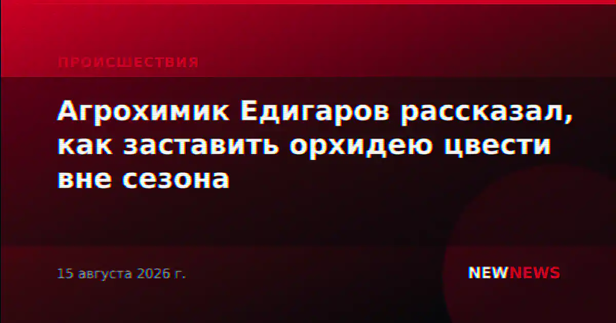Агрохимик Едигаров рассказал, как заставить орхидею цвести вне сезона