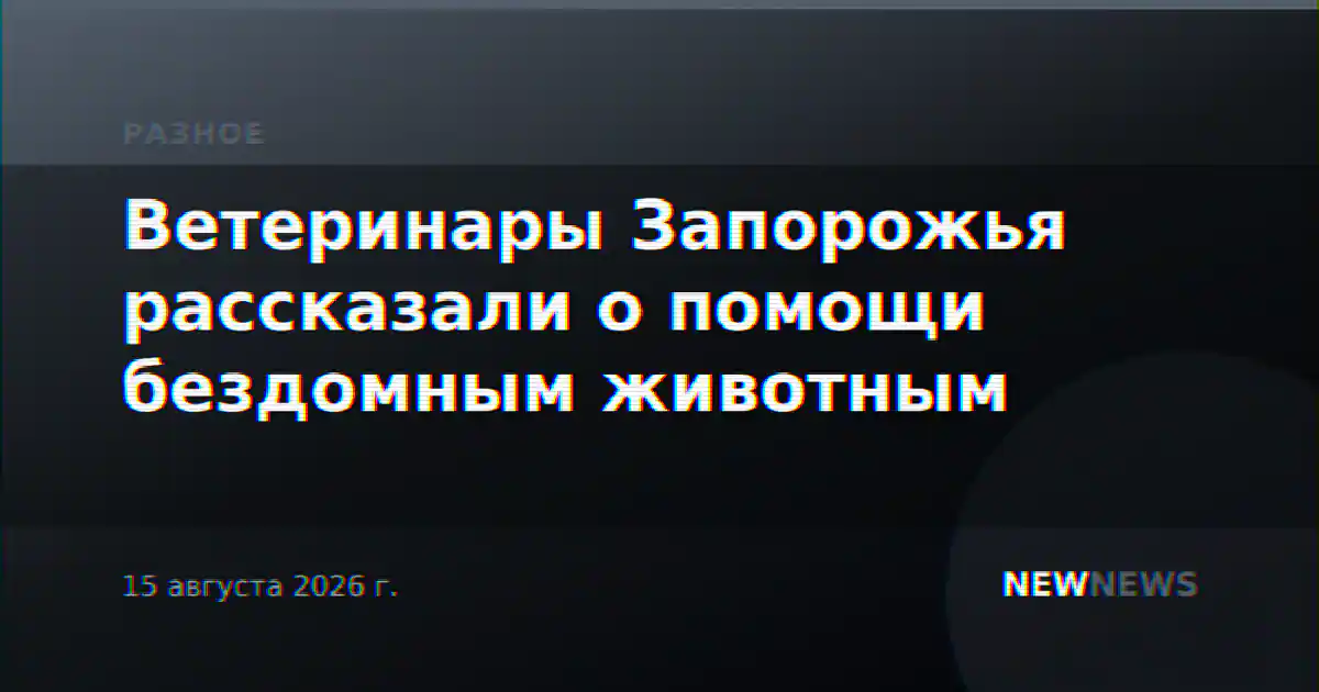 Ветеринары Запорожья рассказали о помощи бездомным животным