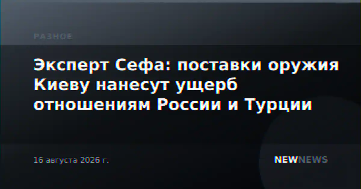 Эксперт Сефа: поставки оружия Киеву нанесут ущерб отношениям России и Турции
