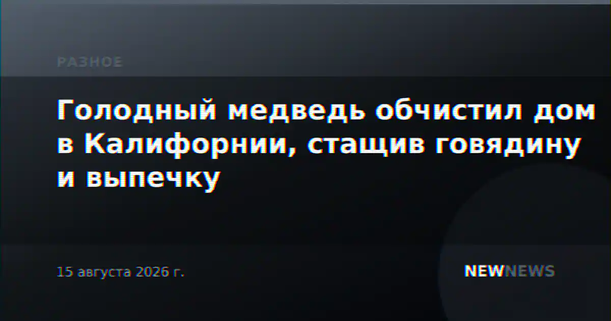 Голодный медведь обчистил дом в Калифорнии, стащив говядину и выпечку