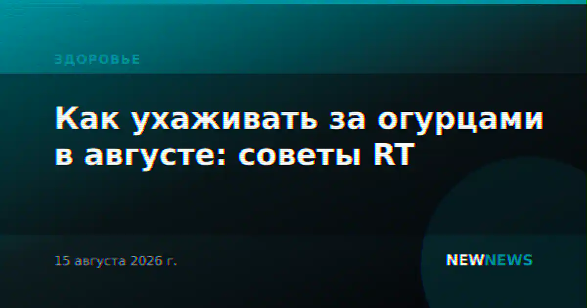 Как ухаживать за огурцами в августе: советы RT