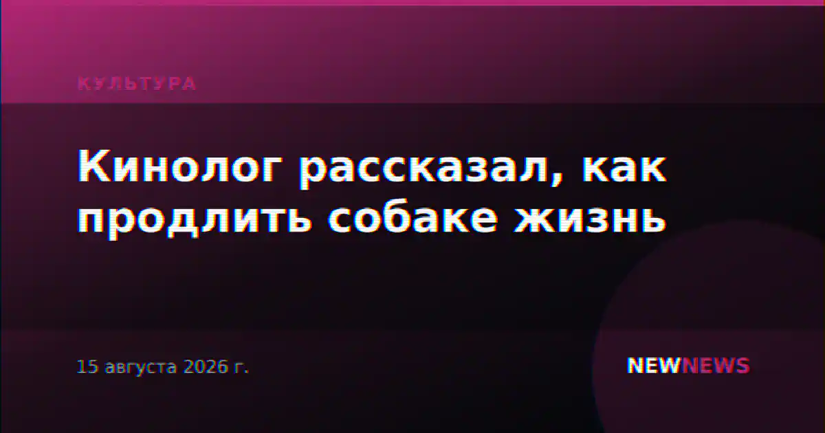 Кинолог рассказал, как продлить собаке жизнь