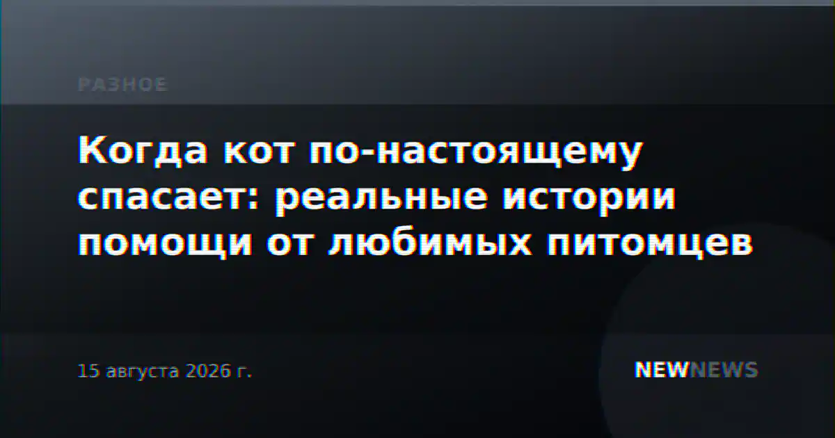 Когда кот по-настоящему спасает: реальные истории помощи от любимых питомцев