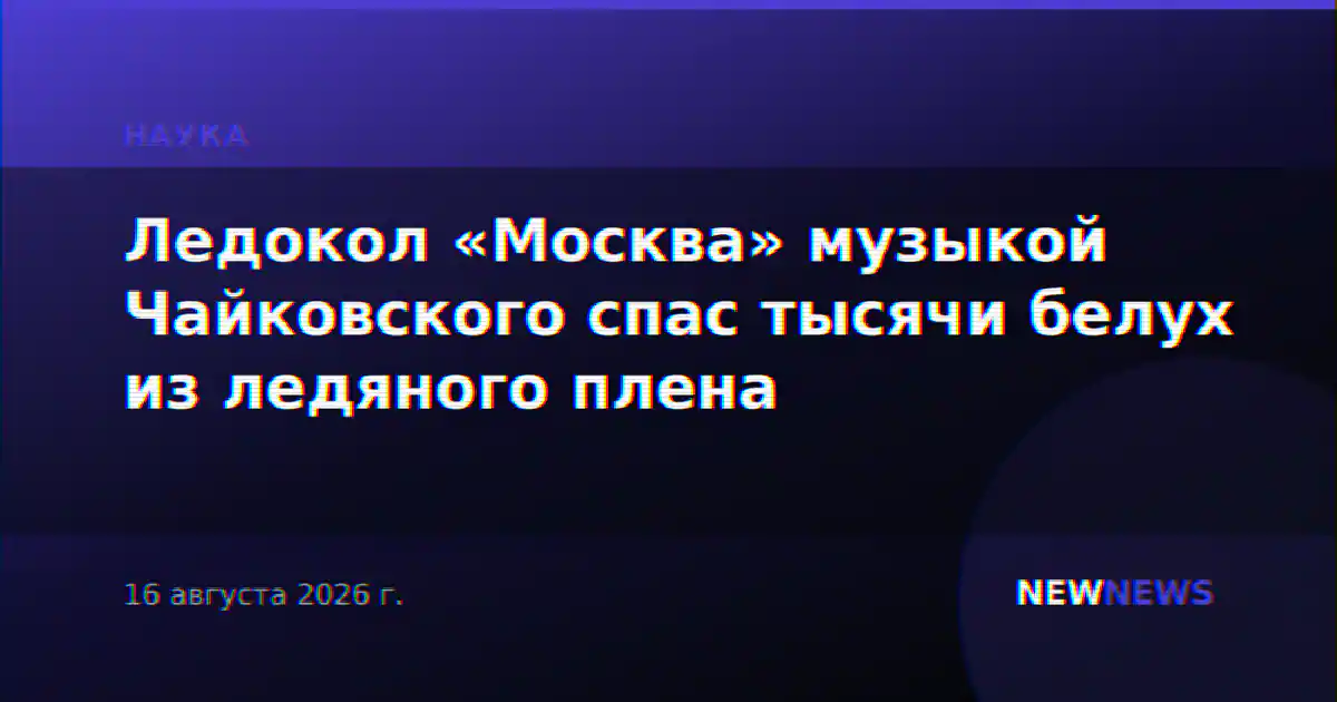 Ледокол «Москва» музыкой Чайковского спас тысячи белух из ледяного плена