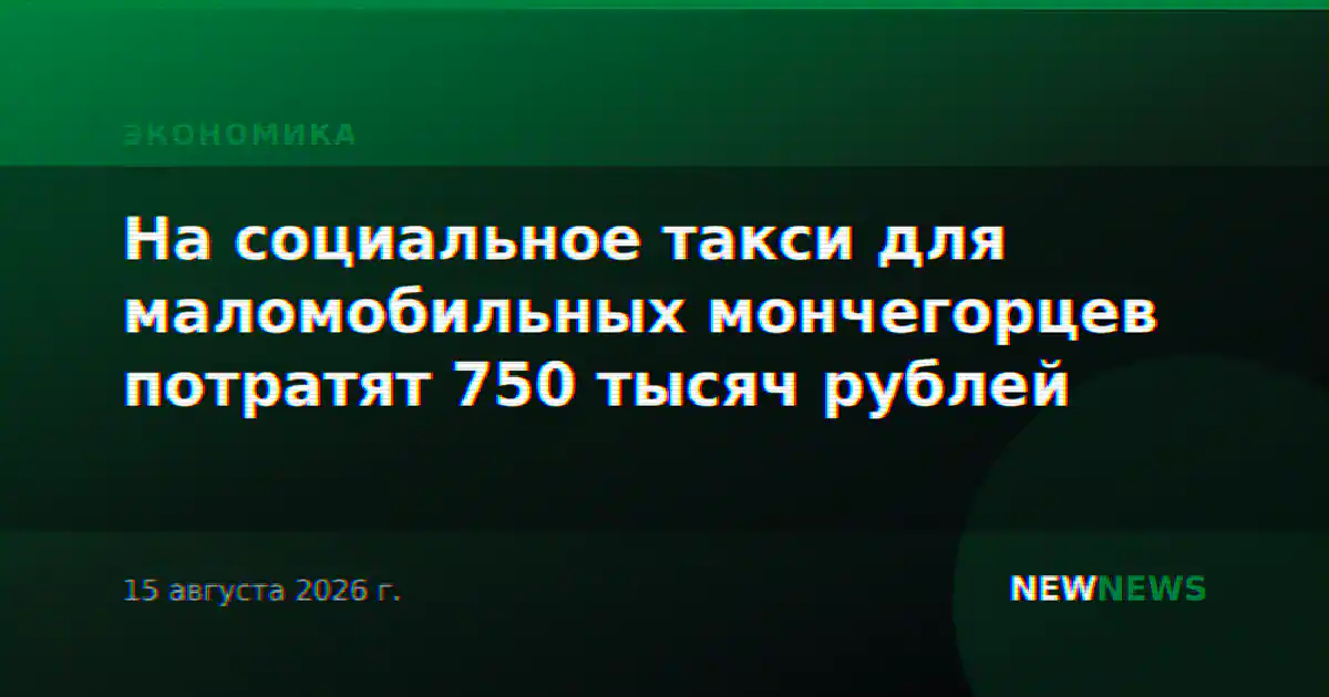 На социальное такси для маломобильных мончегорцев потратят 750 тысяч рублей