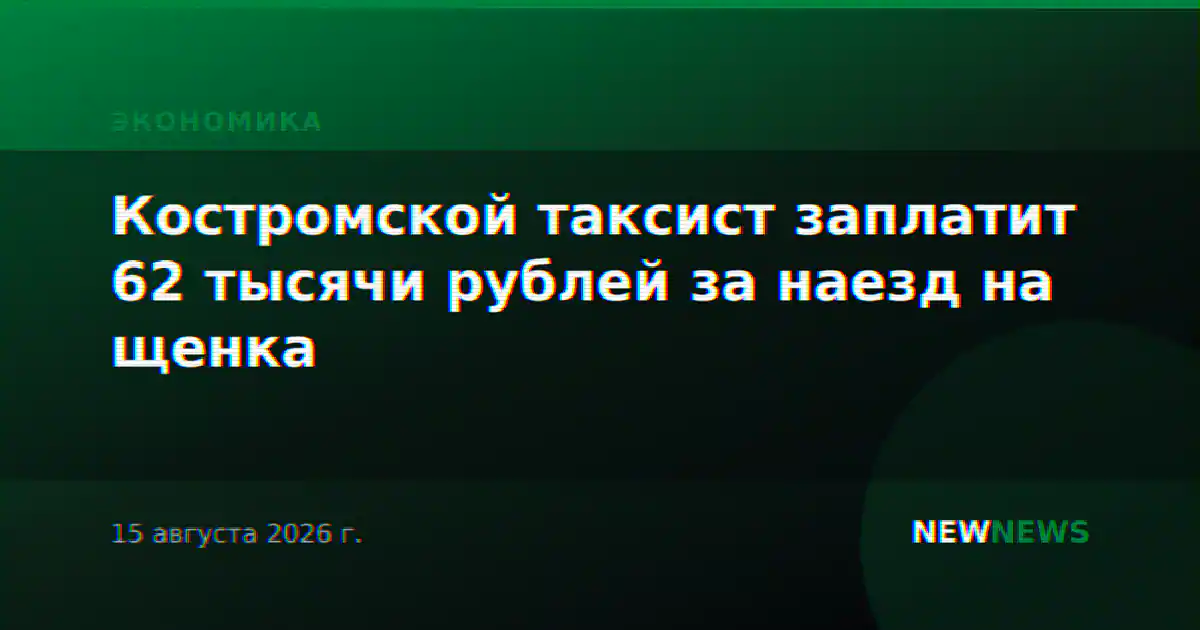 Костромской таксист заплатит 62 тысячи рублей за наезд на щенка