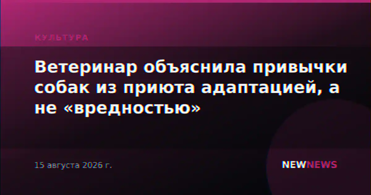 Ветеринар объяснила привычки собак из приюта адаптацией, а не «вредностью»