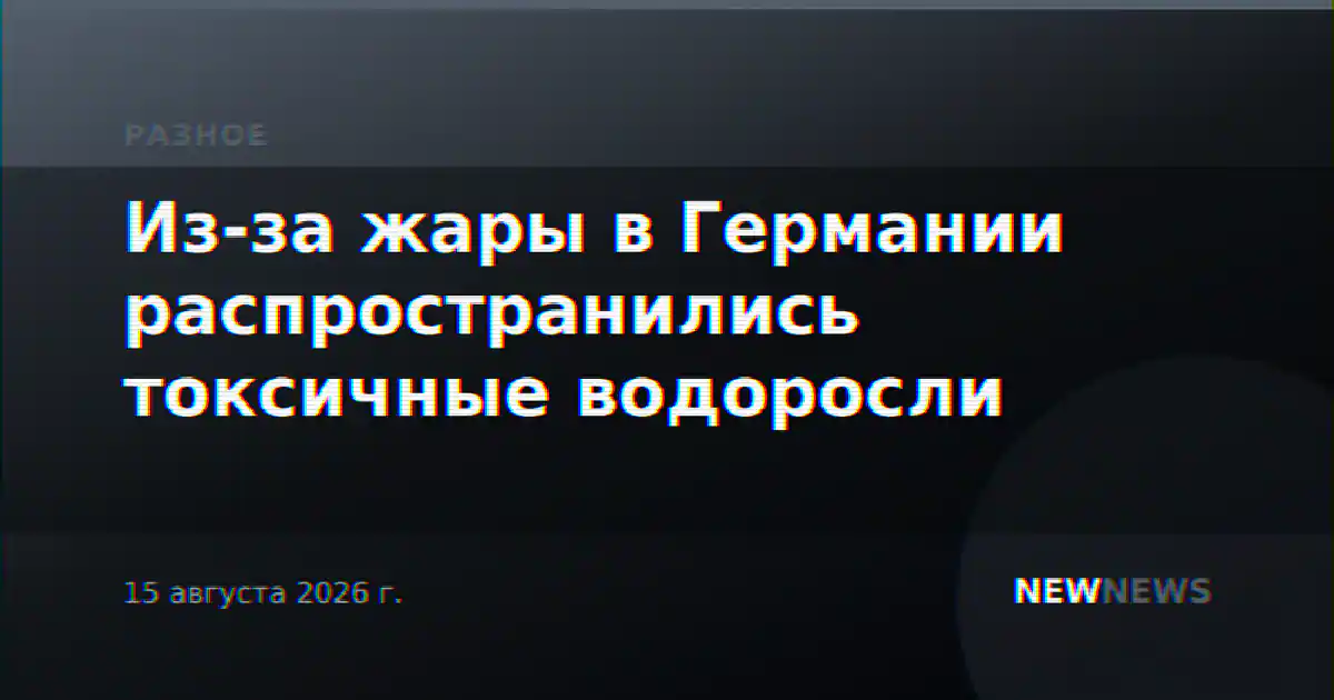 Из-за жары в Германии распространились токсичные водоросли