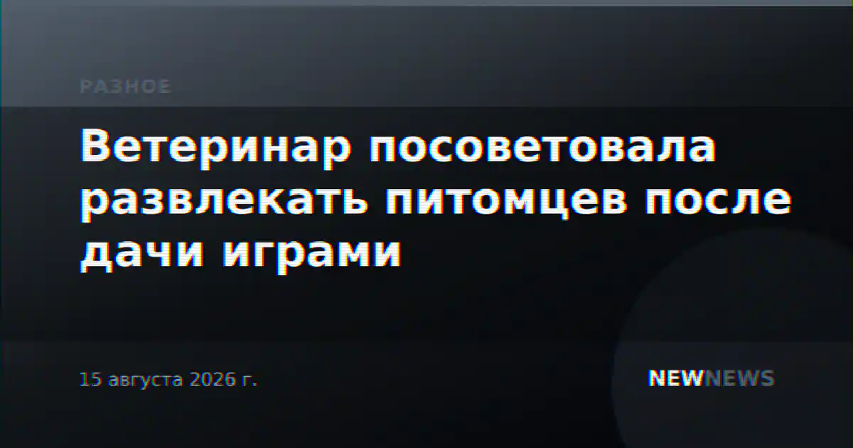 Ветеринар посоветовала развлекать питомцев после дачи играми