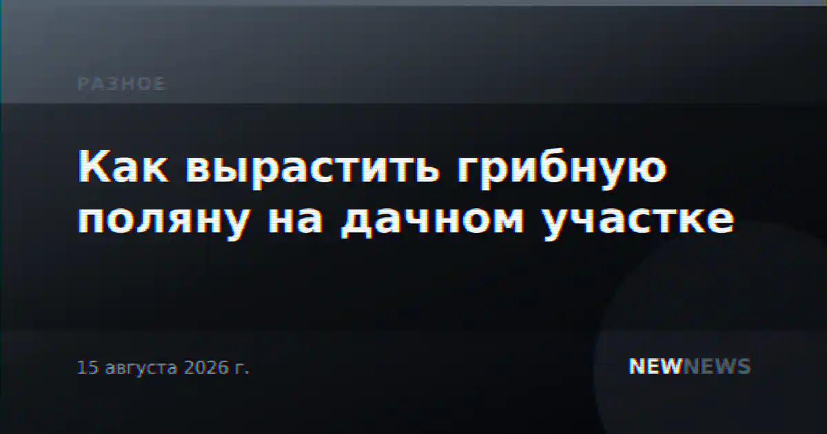 Как вырастить грибную поляну на дачном участке