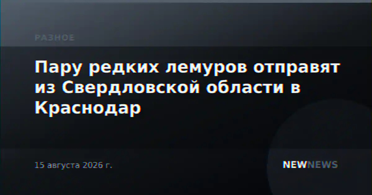 Пару редких лемуров отправят из Свердловской области в Краснодар