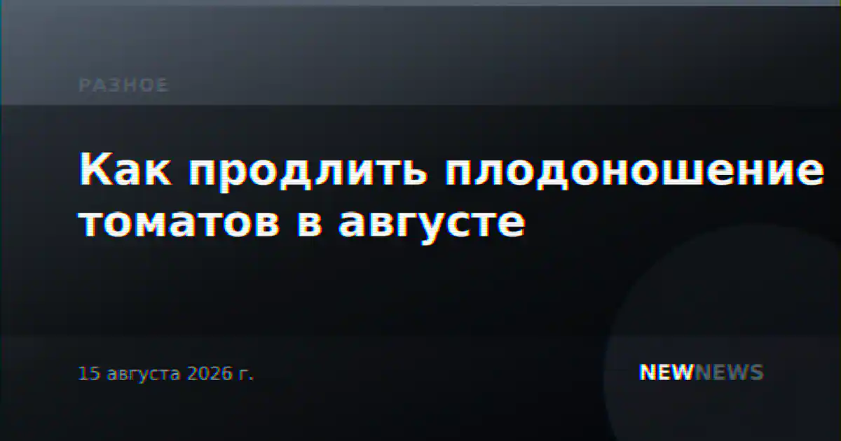 Как продлить плодоношение томатов в августе