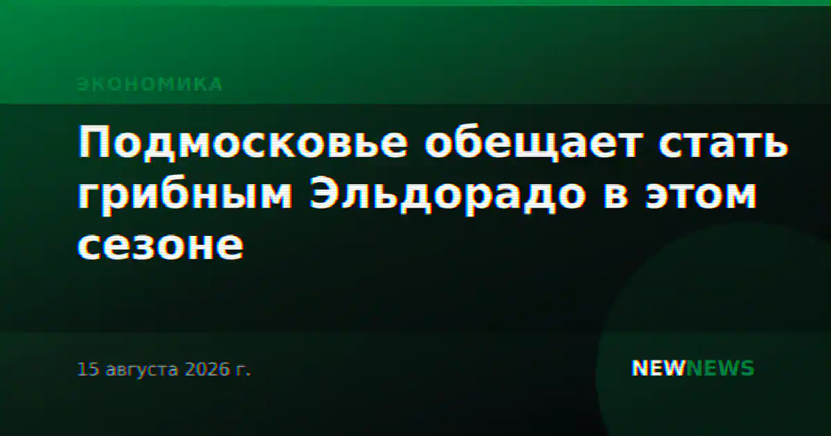 Подмосковье обещает стать грибным Эльдорадо в этом сезоне